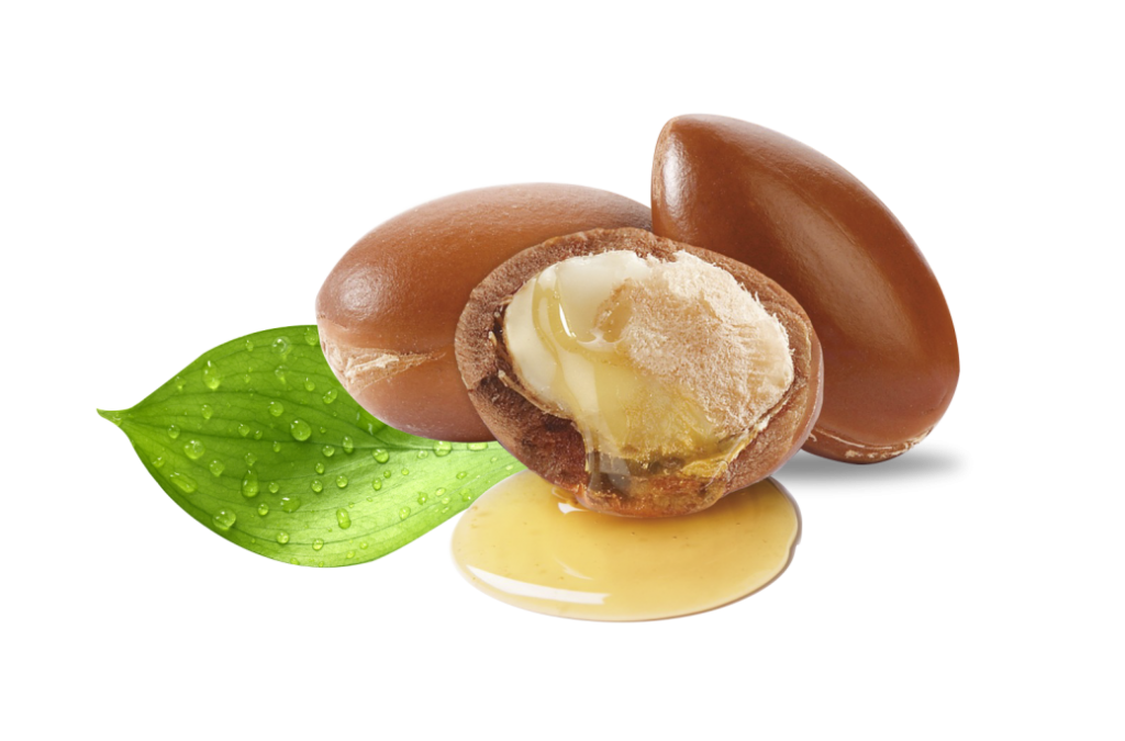 kisspng-argan-oil-grape-seed-oil-argan-5ac6eec22d03c7.5077092115229866901844 kisspng-argan-oil-grape-seed-oil-argan-5ac6eec22d03c7.5077092115229866901844