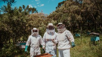 three-people-in-white-suit-2260935-676x451